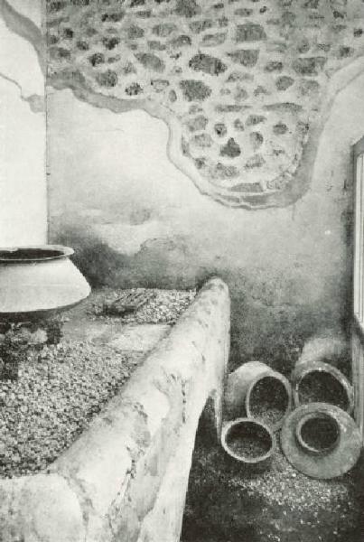 Sito archeologico - Pompei - Casa dei Vetti - Cucina