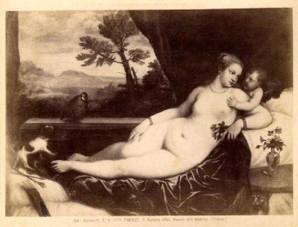 Dipinto - Venere detta dell'Amorino - Tiziano - Firenze - Galleria degli Uffizi