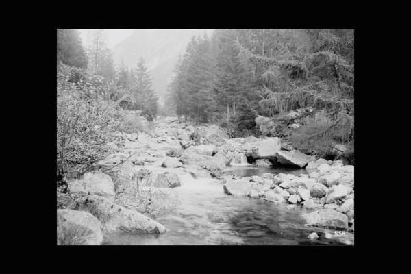 Val Malga - Torrente Remulo