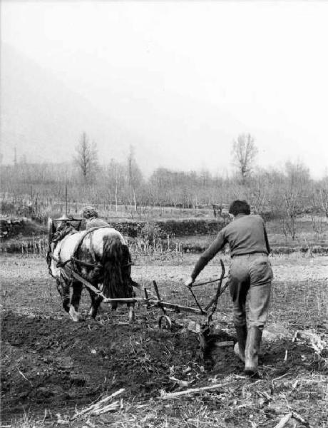 L'aratura. Contadino all'aratro: trazione animale.