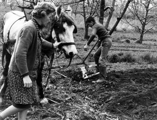 L'aratura. Donna e ragazzo all'aratro: trazione animale.