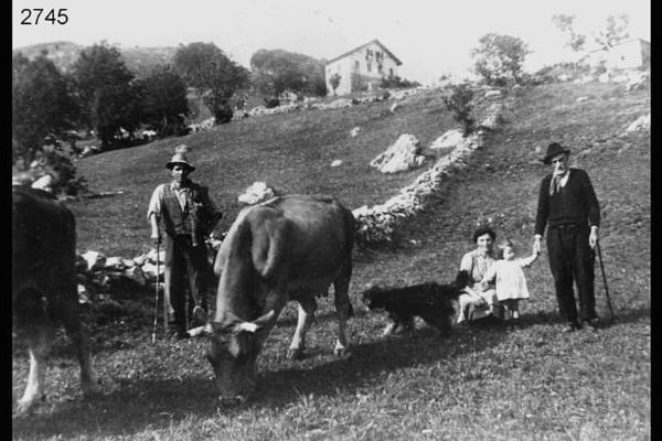 La bimba Pierina Rota con la mamma Teresa Perucchini e il nonno Giovanni Rota. Accanto alla vacca, Albino Rota.