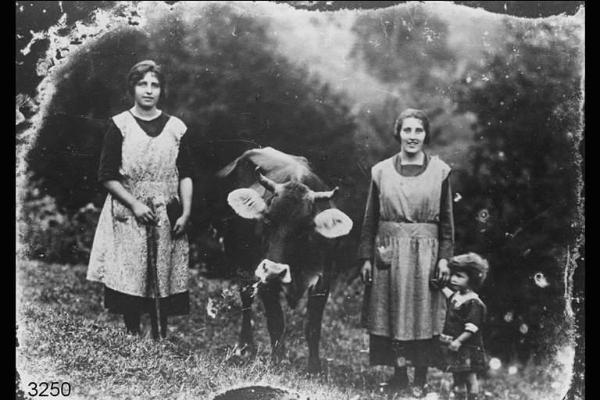 Ritratto delle sorelle Ester e Luigina Micheletti con una bambina e una vacca in un prato.