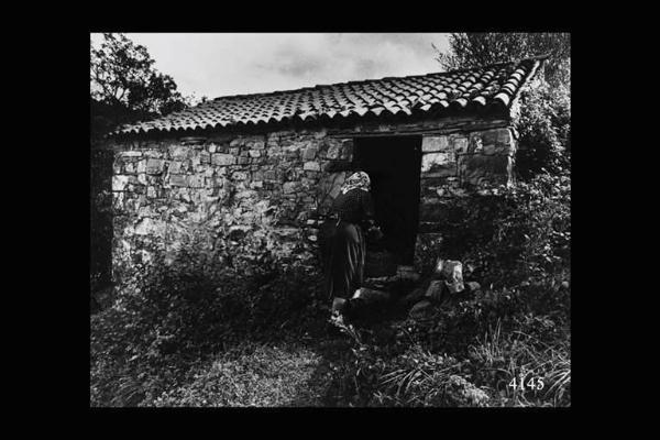 Vendemmia nella vigna di Ernesto Sala. Donna che trasporta una cesta d'uva sulla soglia di un fabbricato rurale. (Forse è la cantina di Ernesto Sala).