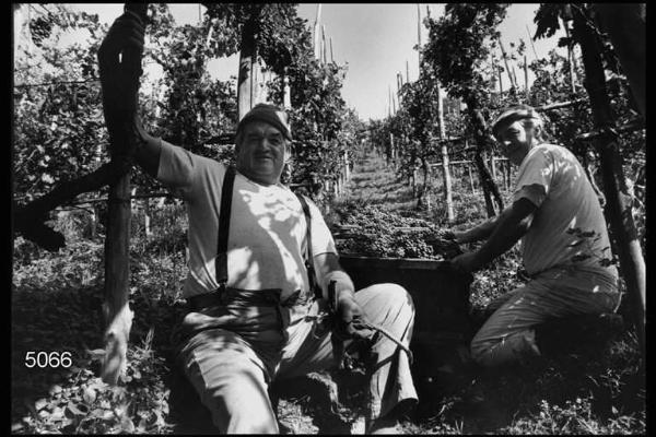 Vendemmia nell'Oltrepò pavese. Ritratto di due contadini.