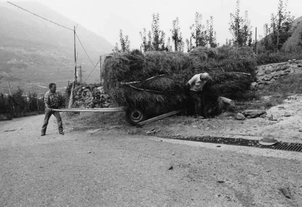 Trasporto su carro-treggia del foraggio. La Priala - Slitta.