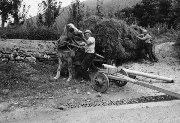 Trasporto su carro-treggia del foraggio. La Priala - Slitta. Aggiunta dell'asse posteriore.