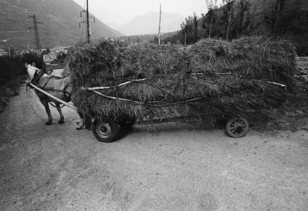 Trasporto su carro-treggia del foraggio. La Priala - Slitta. Trasporto su due assi.