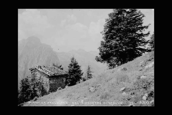 Borno - Massiccio della Presolana - Veduta dalla Val di Scalve