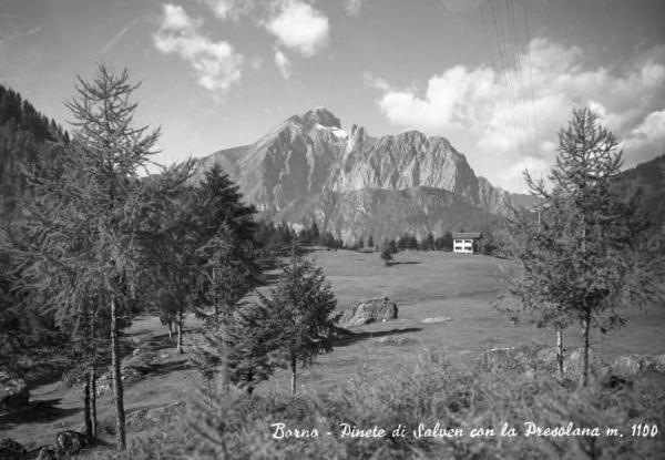 Borno - Località Croce di Salven - Pinete e massiccio della Presolana