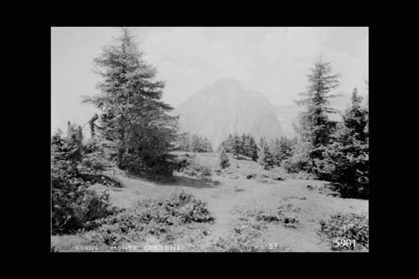 Borno - Monte Costone - Massiccio della Presolana