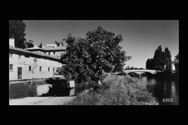 Naviglio Grande. Cassinetta di Lugagnano. Cassinetta di Lugagnano : a destra il naviglio con ponte, a sinistra abitazioni d'epoca, al centro pianta da fico.