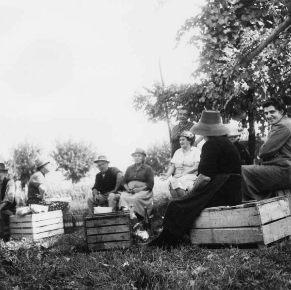 Momento di riposo durante la vendemmia