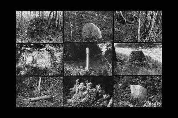 Elementi naturali e artificiali lungo il percorso Somma Lombardo-Vizzola Ticino. Canale Villoresi.