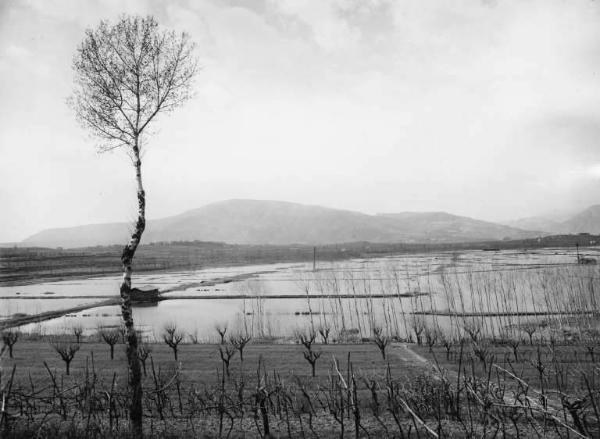 Torbiere al lago d'Iseo