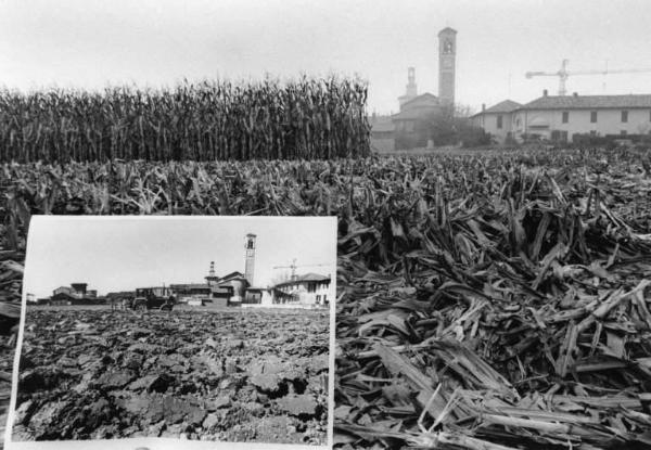 Azienda agricola: Cascina S. Antonio. Coltivazione: granoturco. Trebbiatura.