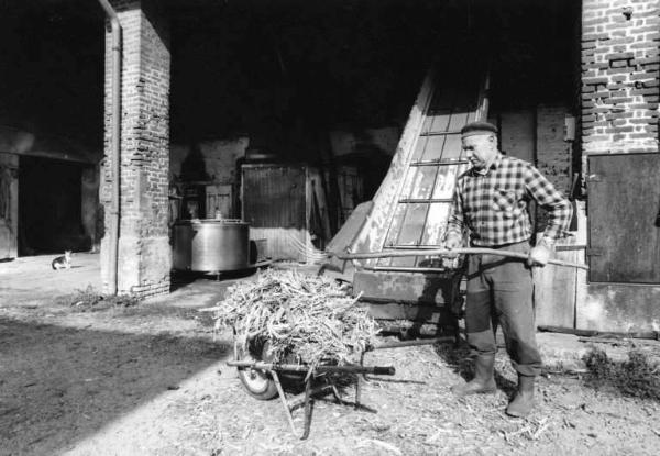 Cascina San Pietro. Coltivazione: erba per allevamento bovini, in campi e marcite. Aia della Cascina San Pietro. Agricoltore con forca riempie una cariola.