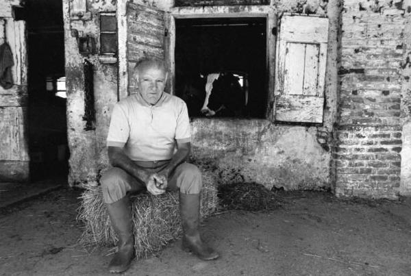 Cascina San Pietro. Coltivazione: erba per allevamento bovini, in campi e marcite. Ermanno. Contadino seduto sul fieno davanti alla stalla.