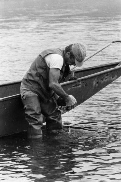 Sergio Cordani. Raccolta di sassi nell'alveo del fiume Ticino.