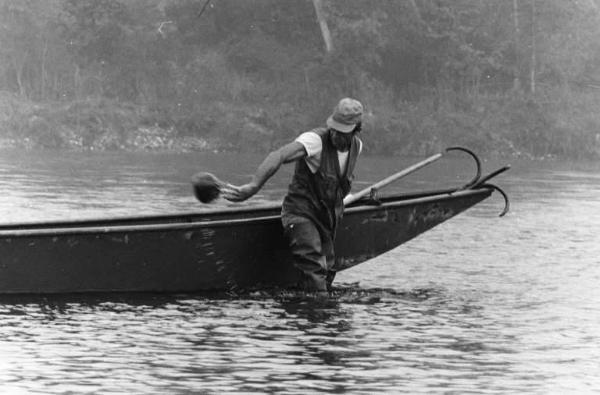 Sergio Cordani. Raccolta di sassi nell'alveo del fiume Ticino.