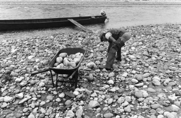 Raccolta di sassi nell'alveo del Ticino.