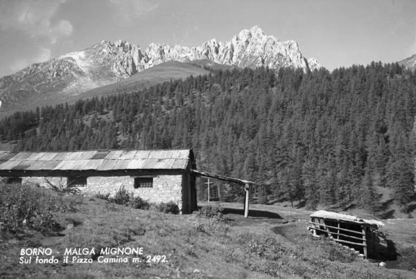 Borno - Malga Mignone