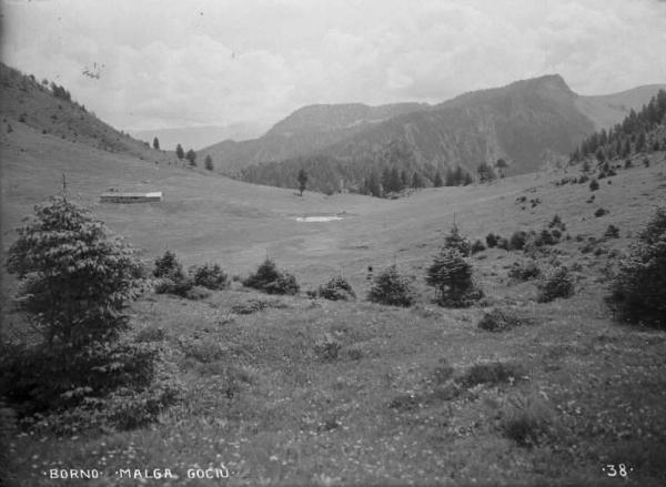 Borno - Malga Gociù