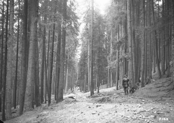 Borno (?) - Bosco - Guardia forestale in posa