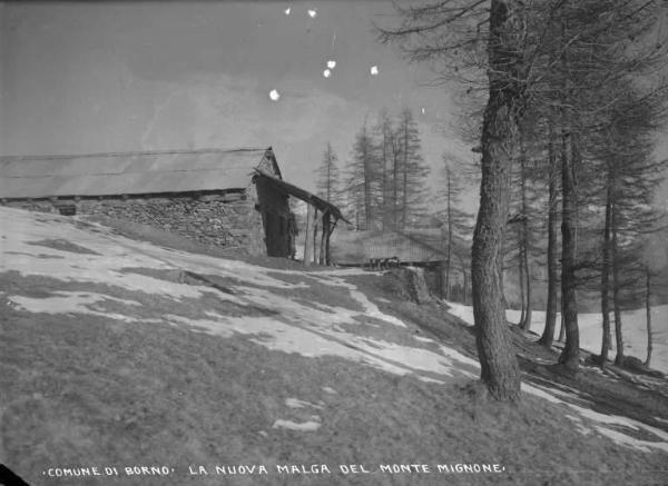 Borno - Malga Mignone