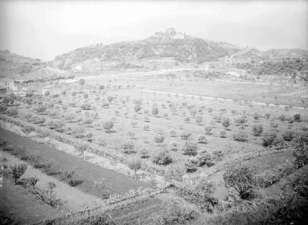 Bienno - Azienda Agricola Avanzini - Campi