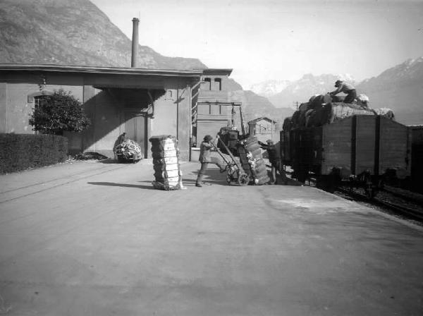 Cogno - Cotonificio Vittorio Olcese - Scalo ferroviario