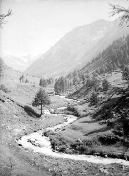 Vezza d'Oglio - Torrente Paghera