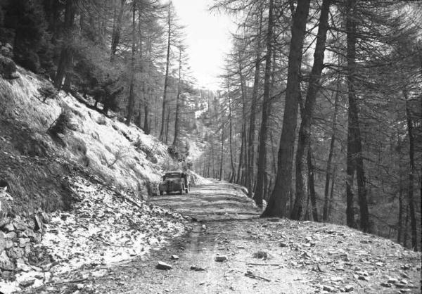 Prestine - Bosco - Automobile lungo un sentiero