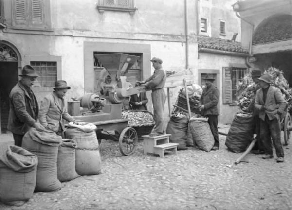 Cividate Camuno - Lavorazione del mais - Sgranatura delle pannocchie - Contadini al lavoro con lo sgranatoio