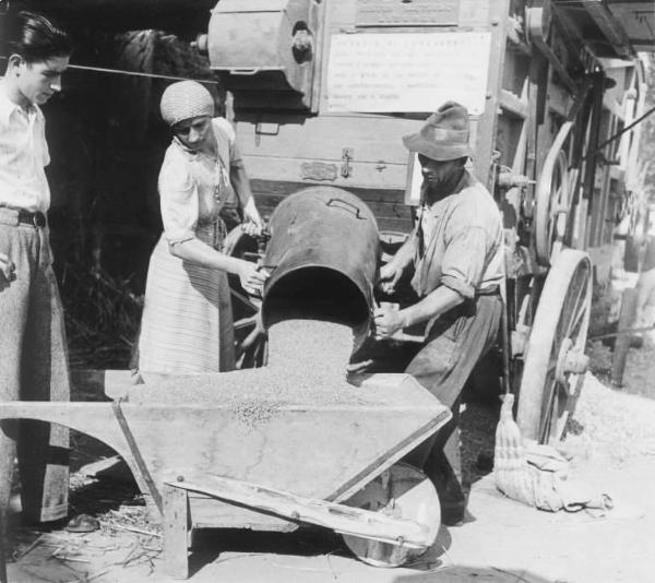 Fascismo - Battaglia del Grano - Contadini al lavoro