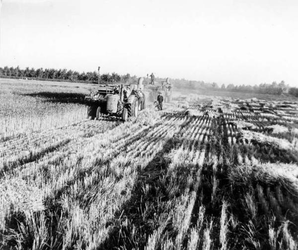 Fascismo - Battaglia del Grano - Mietitura con la trebbiatrice - Contadini al lavoro