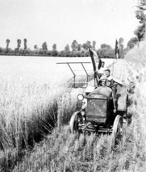 Fascismo - Battaglia del Grano - Mietitura meccanica - Contadini al lavoro