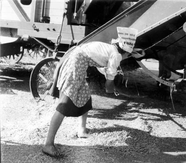 Fascismo - Battaglia del Grano - Trebbiatrice - Contadina al lavoro