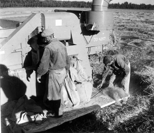 Fascismo - Battaglia del Grano - Trabbiatura - Contadini al lavoro