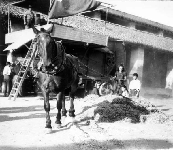 Fascismo - Battaglia del Grano - Azienda agricola - Trebbiatura - Cavallo