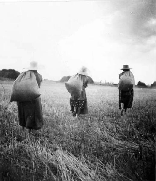 Fascismo - Battaglia del Grano - Contadine al lavoro