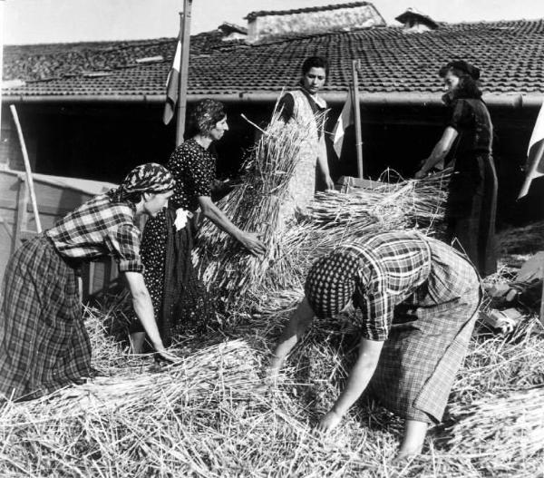 Fascismo - Battaglia del Grano - Trebbiatura meccanica - Contadine al lavoro