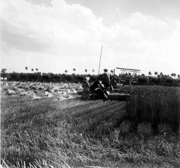 Fascismo - Battaglia del Grano - Campo di grano - Trebbiatura