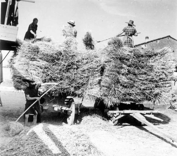 Fascismo - Battaglia del Grano - Trebbiatura meccanica - Contadine al lavoro