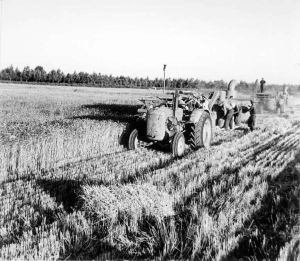 Fascismo - Battaglia del Grano - Mietitura meccanica - Contadini con la mietitrebbiatrice