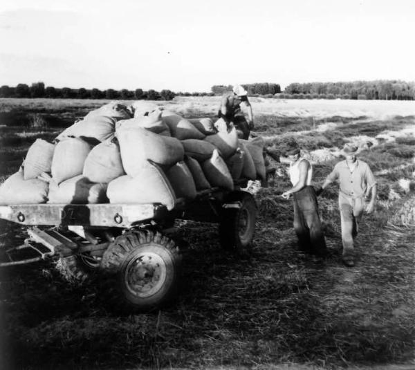 Fascismo - Battaglia del Grano - Contadini caricano sacchi di grano