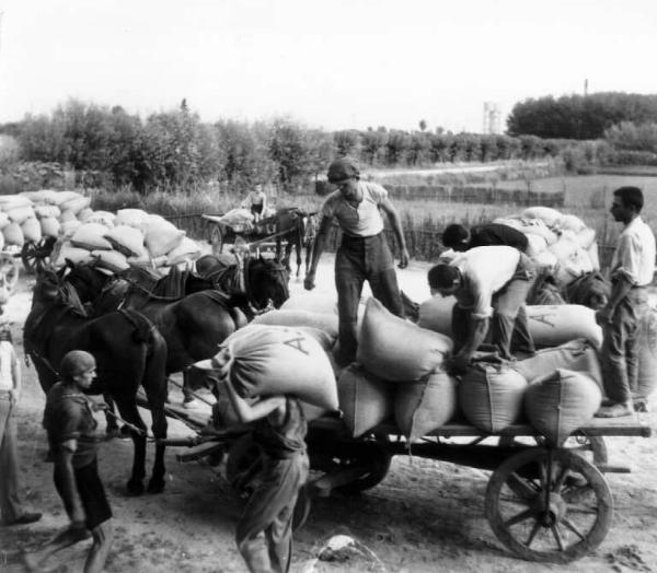 Fascismo - Battaglia del Grano - Trasporto dei sacchi di grano