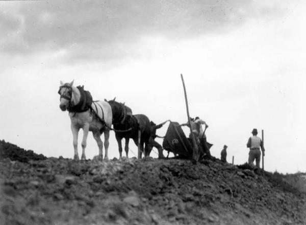 Fiume Po - Argini - Lavori di consolidamento - Scarriolanti