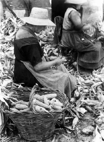 Lavoro agricolo - Spannocchiatura - Contadine al lavoro