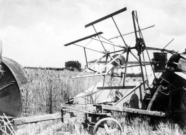 Fascismo - Battaglia del Grano - Mietitura meccanica - Macchina al lavoro